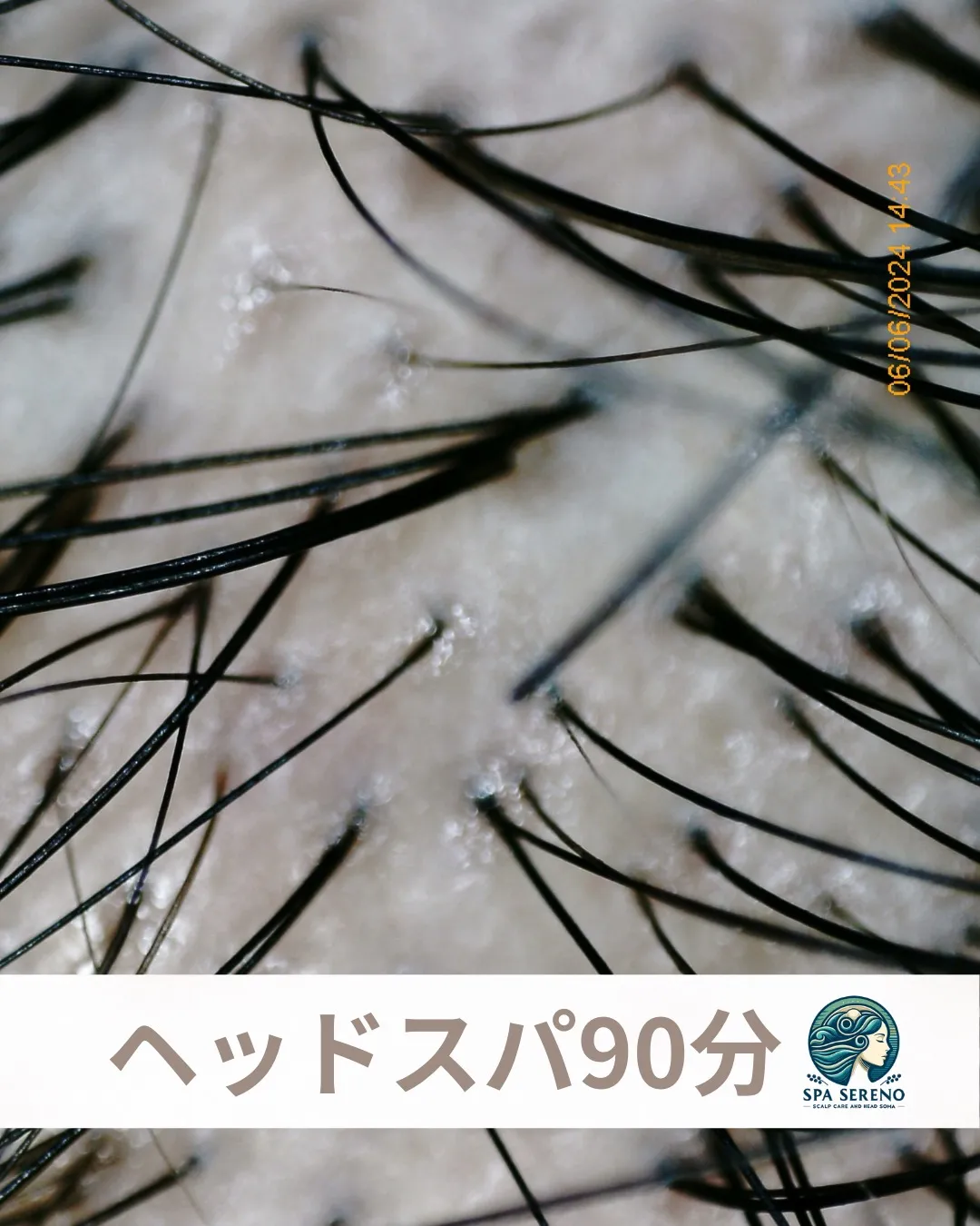 目に見えないホコリや汚れを洗い流し